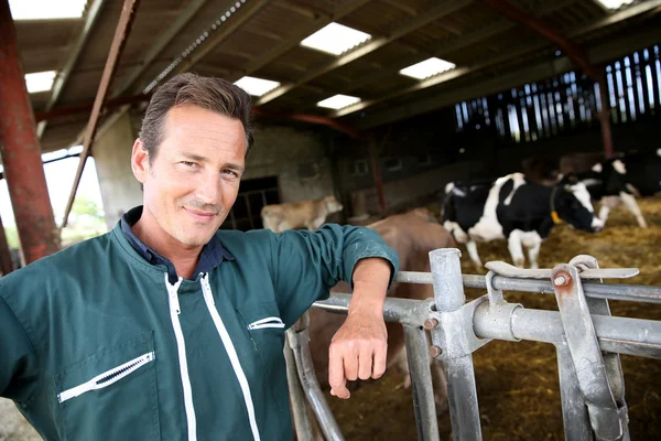 Smiling farmer standing in barn — Stock Photo, Image