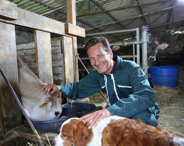 Cheerful farmer petting cows in barn