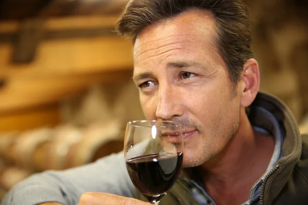 Winemaker tasting red wine in cellar — Stock Photo, Image