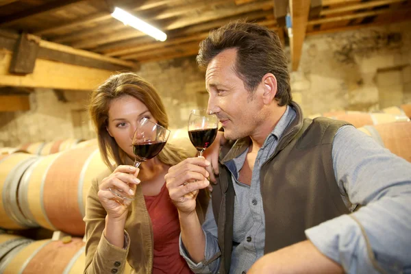 Oenologer i vinkällaren smaka vin — Stockfoto