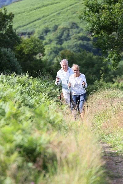 Senior couple on hiking day — Stock Photo, Image