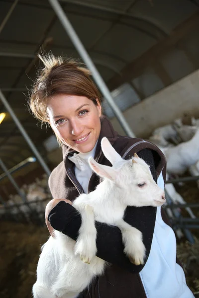 Bäuerin trägt Ziegenbaby lizenzfreie Stockbilder