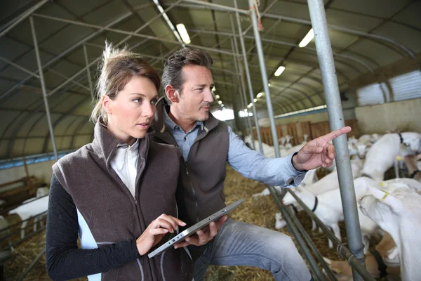 Couple of farmers using tablet Royalty Free Stock Photos