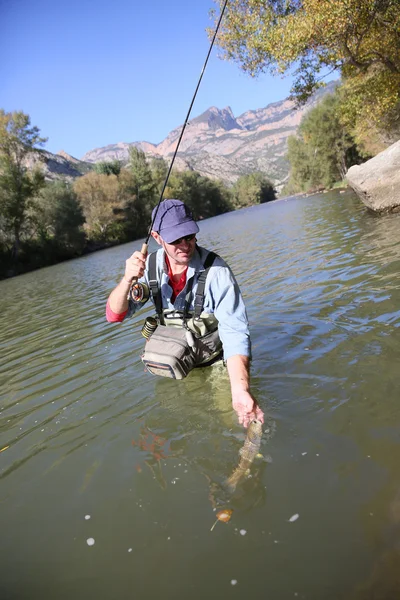 Pescador liberando trucha en el río — Foto de Stock