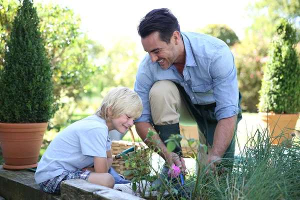 Boy having fun with daddy gardening — Stock Photo, Image