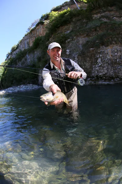 Pescador pegando truta fario no rio — Fotografia de Stock