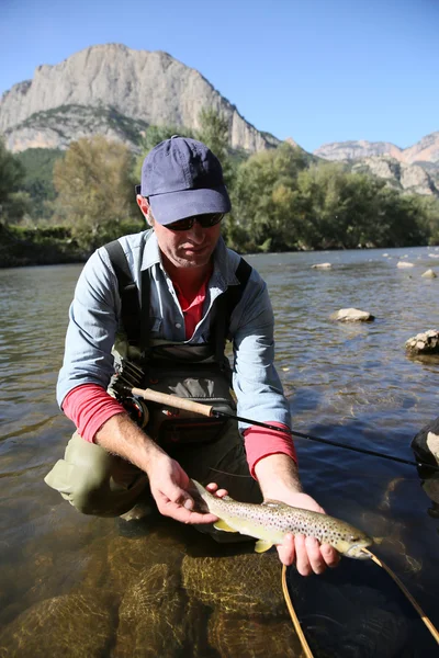 Fisherman catching fario trout in river — Stock Photo, Image