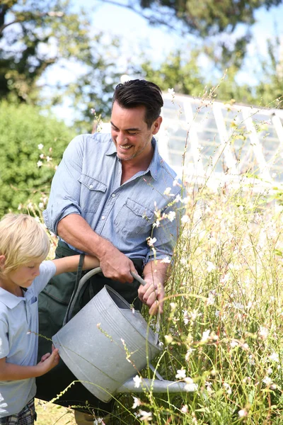 Vader en zoon planten water geven — Stockfoto