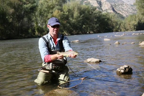 Fisherman catching fario trout in river — Stock Photo, Image