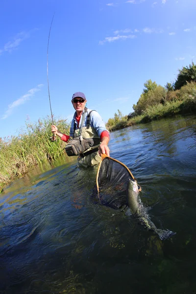 Pescador captura peixe arco-íris — Fotografia de Stock