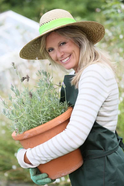 Vrouw gradening aromatische planten — Stockfoto