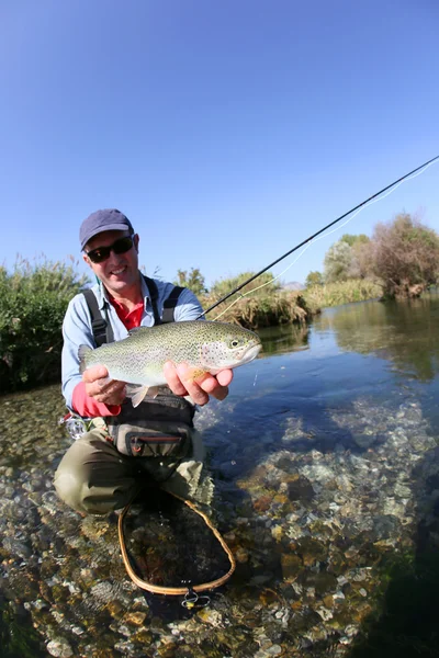 Fisherman catching fario trout in river — Stock Photo, Image