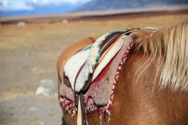 Horse saddle in Patagonian steppe clipart