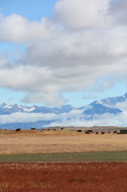 South Patagonia farmland clipart