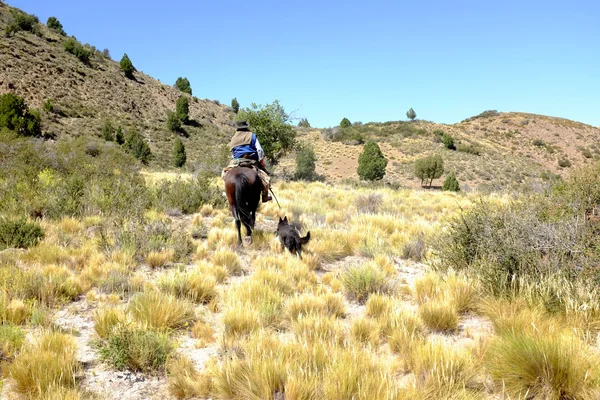 Gaucho horse riding in North Patagonia — Stock Photo, Image