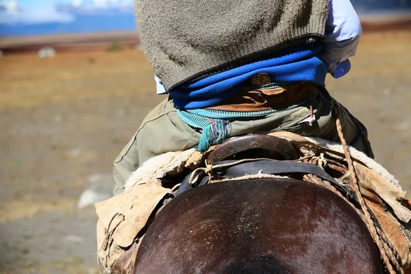 गौचो घोडा स्वार — स्टॉक फोटो, इमेज