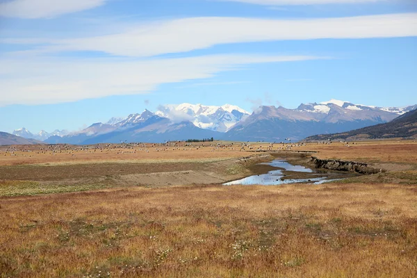 South Patagonia farmland — Stock Photo, Image