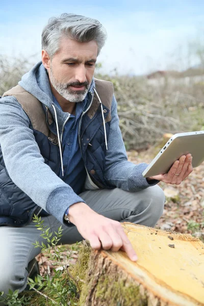 Científico ambiental mirando tronco de árbol — Foto de Stock