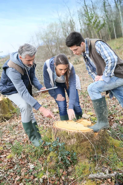 Teacher with students in environment sciences — Stock Photo, Image