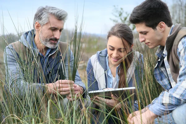 Profesor con estudiantes mirando la vegetación —  Fotos de Stock