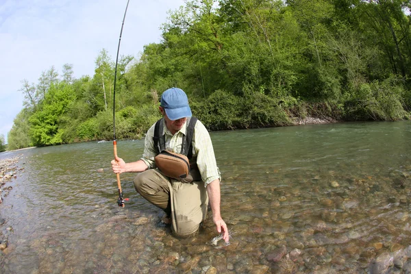 Pescador que apanha truta castanha — Fotografia de Stock