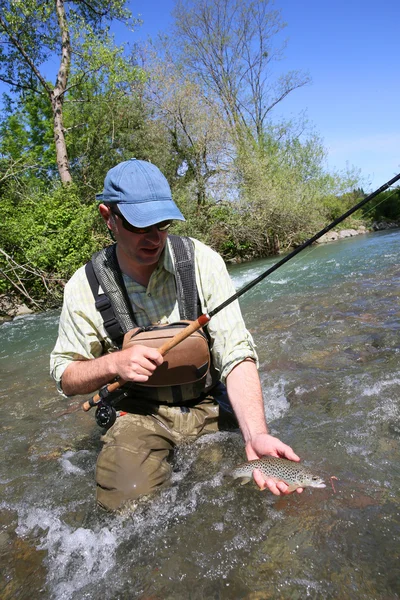 Visser bruine forel vangen — Stockfoto