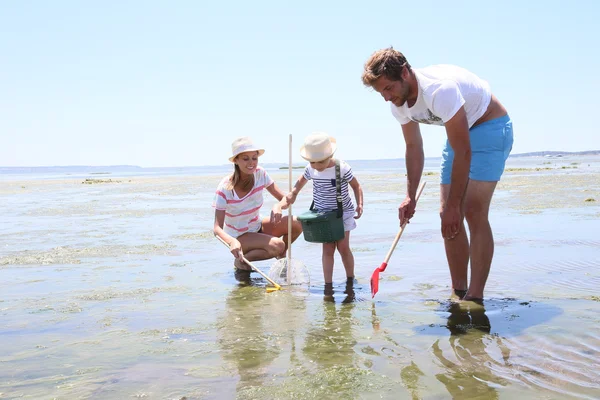 Famiglia che pratica la pesca da spiaggia — Foto Stock