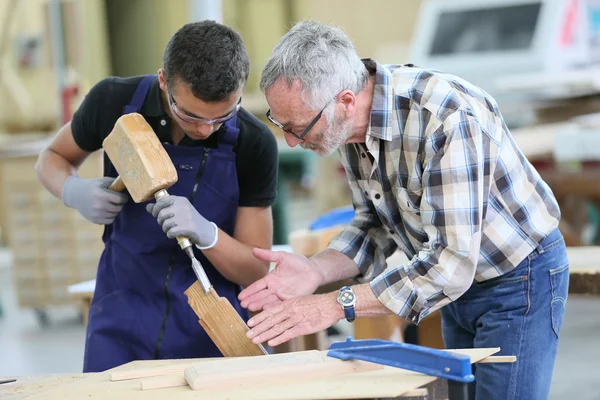 Aprendiz joven con profesor trabajando —  Fotos de Stock