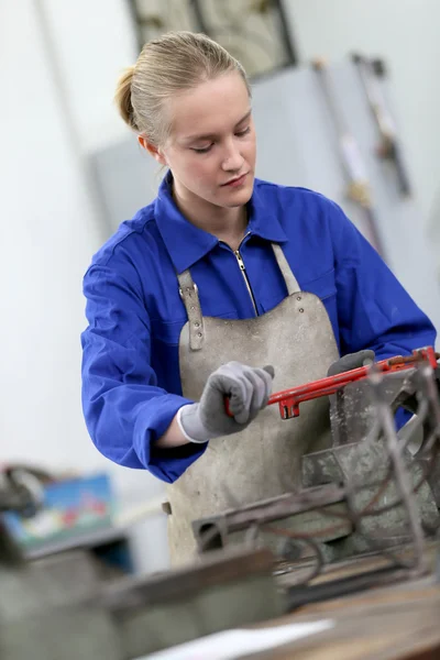 Woman studying ironworks — Stock Photo, Image