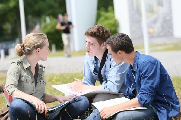 Ludzie siedzący w parku na studia — Zdjęcie stockowe