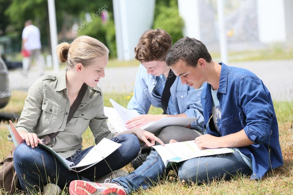 people sitting in park to study