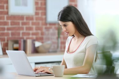 dizüstü bilgisayar ile internet üzerinden bağlı kadın