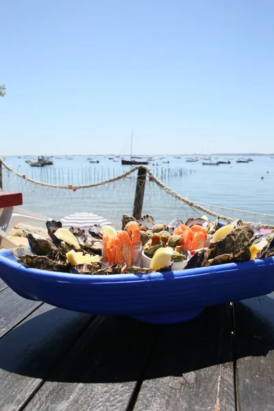 Deniz ürünleri tabağı seti — Stok fotoğraf