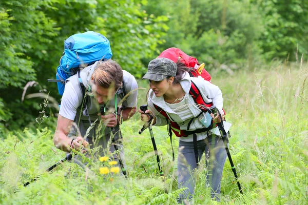 Yolculuk hiking üzerinde backpackers — Stok fotoğraf