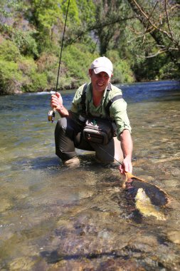 Sinek balıkçı alarak kahverengi alabalık dışarı