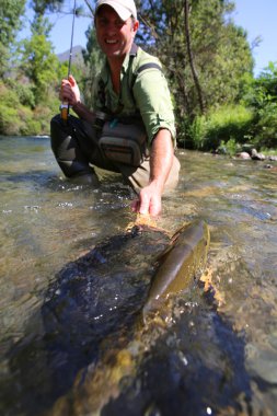 Sinek balıkçı alarak kahverengi alabalık dışarı
