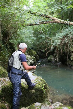Sinek balıkçı balıkçılık nehir