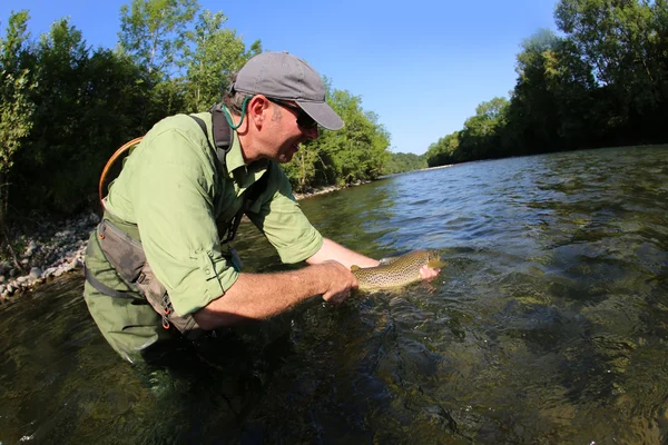 Visser vrijgeven forel — Stockfoto