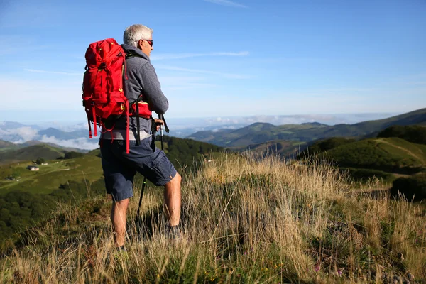 Caminante mirando el paisaje — Foto de Stock