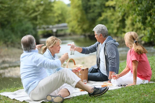 Gruppe af ældre mennesker nyder picnic - Stock-foto