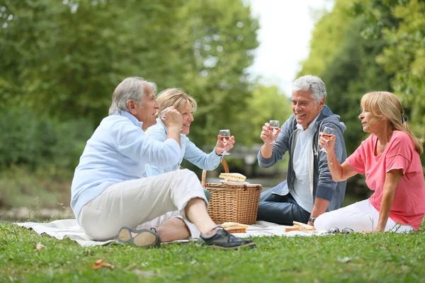 Group of senior people enjoying picnic — Stock Photo, Image