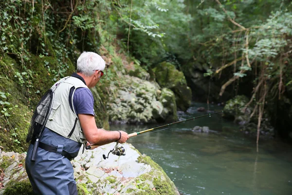 Pesca a mosca senior-pescatore — Foto Stock