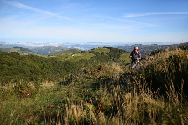 Caminhante em uma viagem nas montanhas — Fotografia de Stock