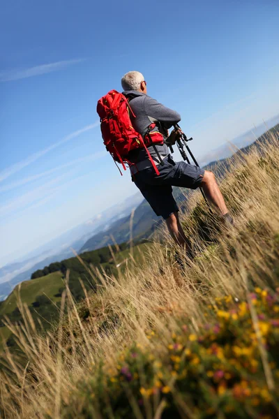 Randonneur dans les montagnes du Pays Basque — Photo