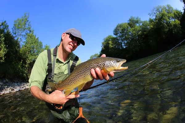 Pescador con mosca sosteniendo trucha marrón en el río —  Fotos de Stock