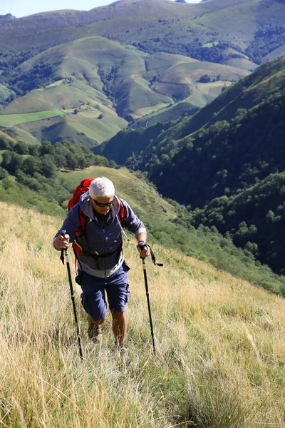 Ανώτερος trekker σε ένα ταξίδι — Φωτογραφία Αρχείου