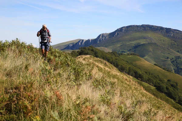 Mannelijke Hiker op een reis — Stockfoto