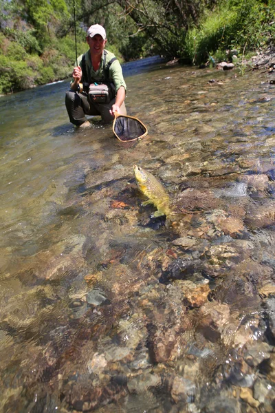 Mosca-pescador em água pegando truta — Fotografia de Stock