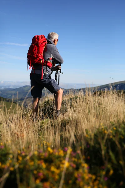 Hiker tittar på landskapet — Stockfoto