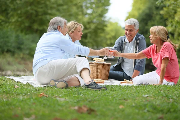 Mensen genieten van picknick op zonnige dag — Stockfoto